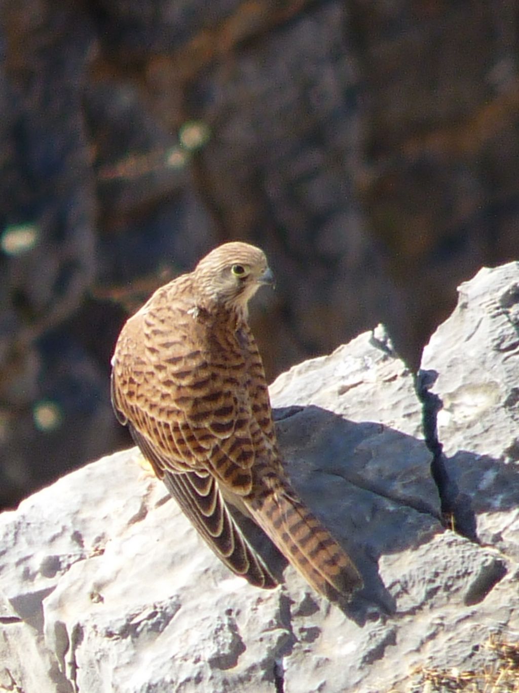 Osservazioni in vacanza